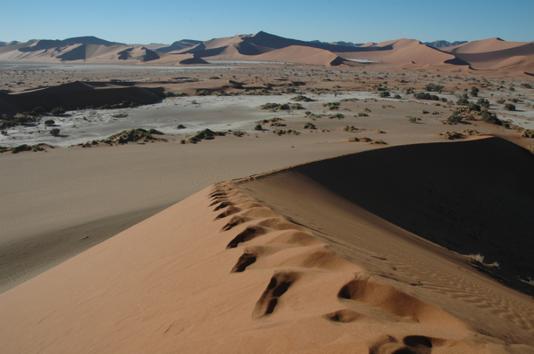 02  Sossusvlei-25