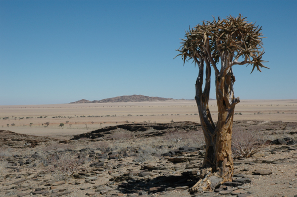 03 Kuiseb-Swakopmund-04