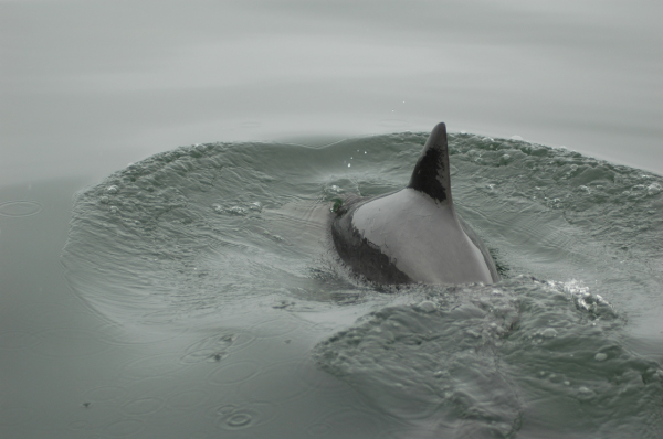 03 Kuiseb-Swakopmund-12