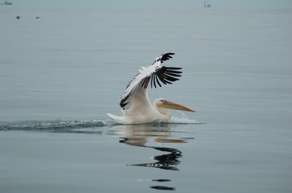 03 Kuiseb-Swakopmund-16