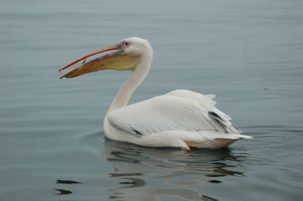 03 Kuiseb-Swakopmund-17