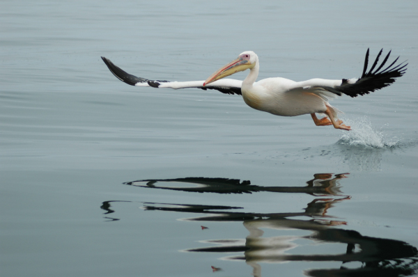 03 Kuiseb-Swakopmund-19