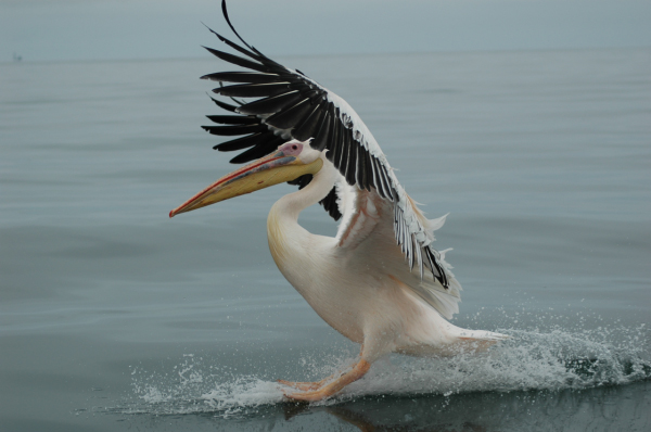 03 Kuiseb-Swakopmund-20