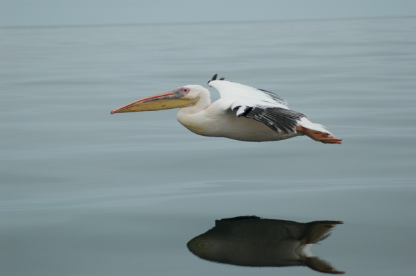 03 Kuiseb-Swakopmund-21