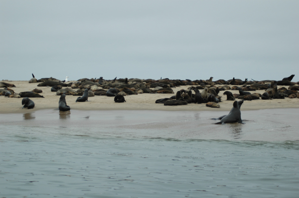 03 Kuiseb-Swakopmund-26