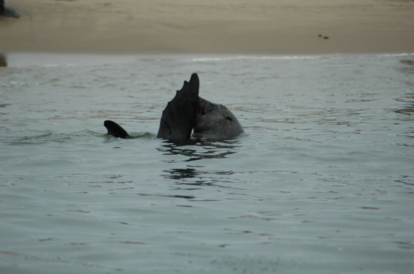 03 Kuiseb-Swakopmund-27