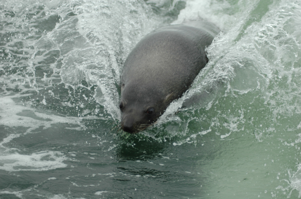 03 Kuiseb-Swakopmund-28