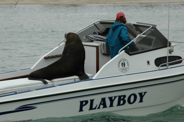 03 Kuiseb-Swakopmund-33