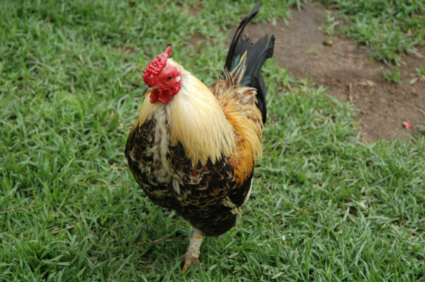 03 Kuiseb-Swakopmund-34