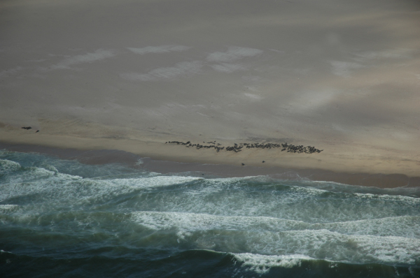 03 Kuiseb-Swakopmund-41