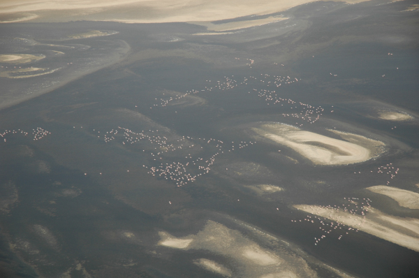 03 Kuiseb-Swakopmund-43