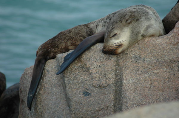 03 Kuiseb-Swakopmund-49