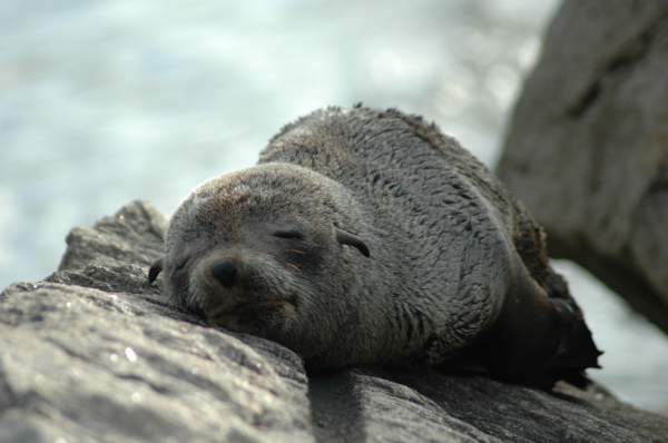 03 Kuiseb-Swakopmund-50