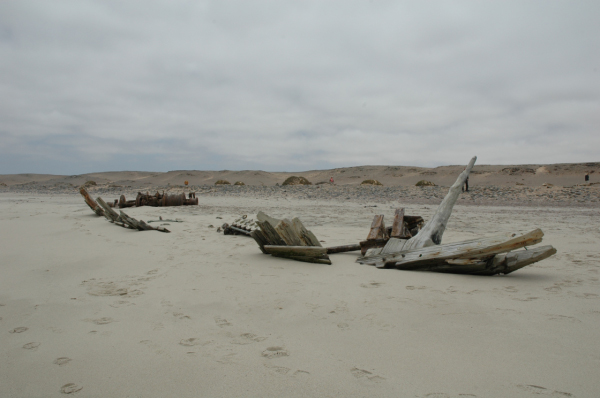 04 Cape Cross-Skeleton Coast-12