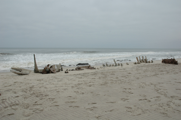04 Cape Cross-Skeleton Coast-13
