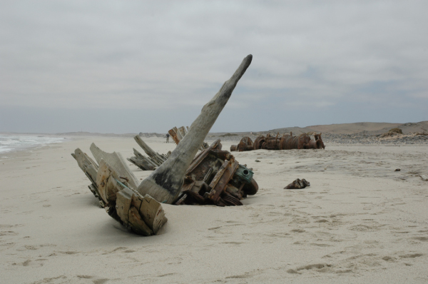 04 Cape Cross-Skeleton Coast-14