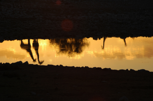 06 Etosha National Park-068