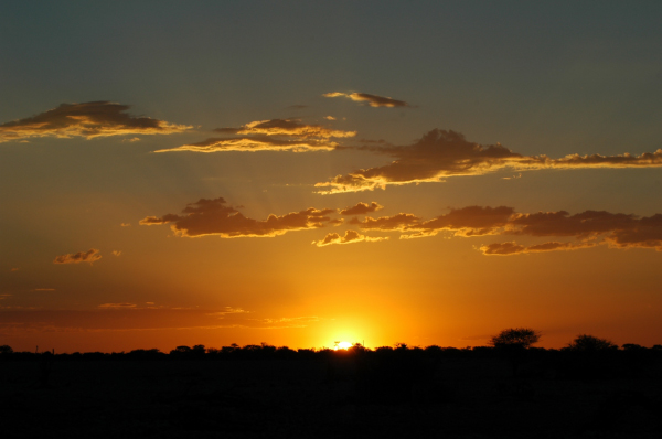 06 Etosha National Park-070