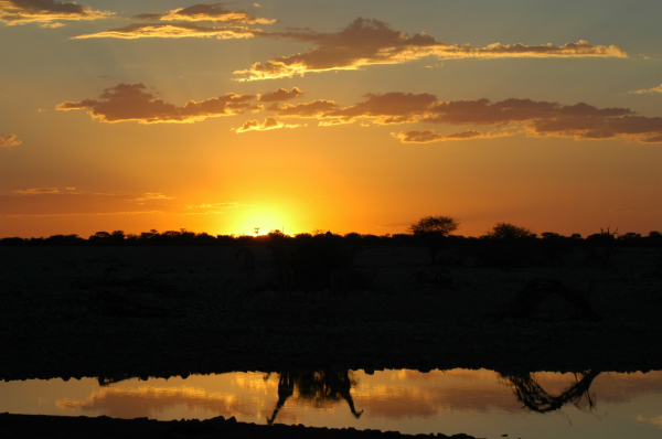 06 Etosha National Park-071