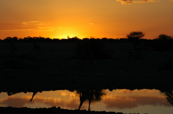 06 Etosha National Park-073