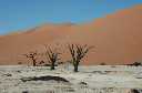 02  Sossusvlei-31