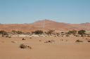02  Sossusvlei-36