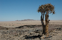 03 Kuiseb-Swakopmund-04