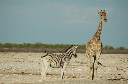 06 Etosha National Park-007