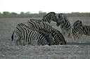06 Etosha National Park-024
