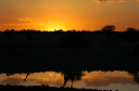 06 Etosha National Park-073