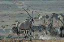 06 Etosha National Park-079