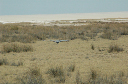 06 Etosha National Park-088