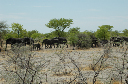 06 Etosha National Park-101
